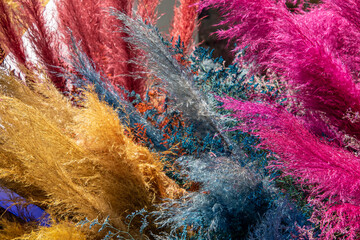 A bunch of colorful feathers are displayed in a variety of colors