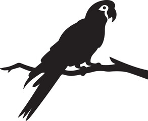 Parrot Silhouette Vector Illustration White Background