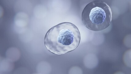 3d animation of Human cell or Embryonic stem cell microscope background. - Powered by Adobe