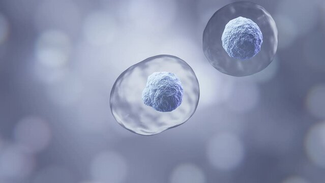 3d animation of Human cell or Embryonic stem cell microscope background.