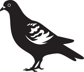 Pigeon Silhouette Vector Illustration White Background