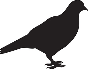 Pigeon Silhouette Vector Illustration White Background