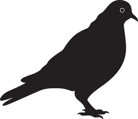 Pigeon Silhouette Vector Illustration White Background