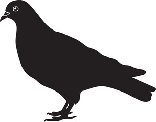 Pigeon Silhouette Vector Illustration White Background