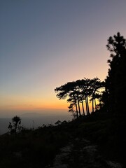 A beautiful sunset over a forest with trees in the background