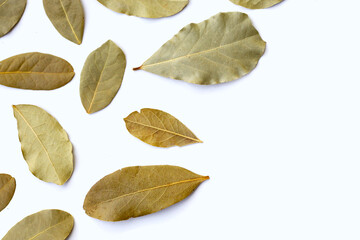 Dried bay leaves on white background.