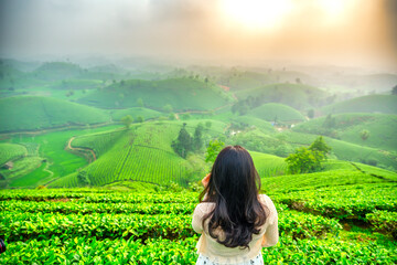 Asian traveler girl watching beautiful sunrise on tea hill in Long Coc, Phu Tho, Vietnam