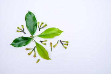 photo of cloves and fresh green leaves isolated on white background. also called cengkih or cengkeh
