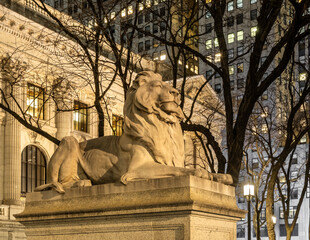 New York City  public library lion statue illuminated at night buildings trees