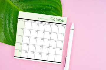 October 2024 calendar page and fresh green leaf with water drops on pink background.