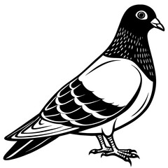 pigeon-side-view-on-white--vector-illustration