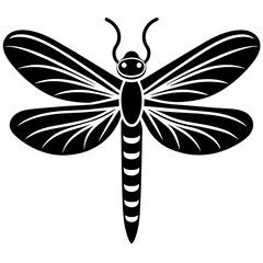 dragonfly isolated on white background