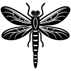 black and white dragonfly