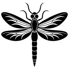 dragonfly illustration vector silhouette