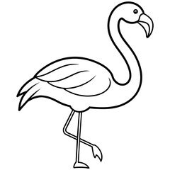 Flamingo vector silhouette illustration line art