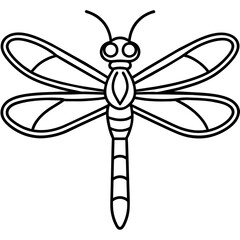 dragonfly isolated on white