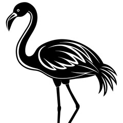 illustration of a bird flamingo vector silhouette