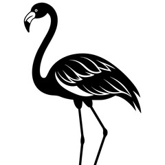 flamingo silhouette isolated on white