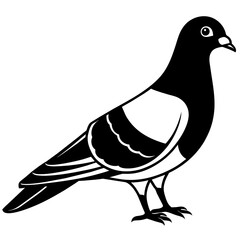 illustration of a pigeon vector icon