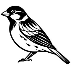 Sparrow bird vector silhouette illustration
