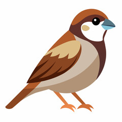 sparrow on a white background vector art