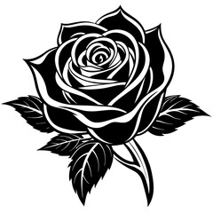 rose-flower-solit-black-and-white--unique