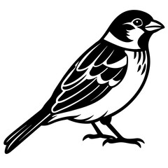 Sparrow bird vector silhouette illustration