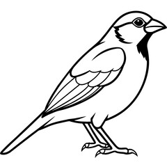 illustration of a bird Sparrow vector silhouette