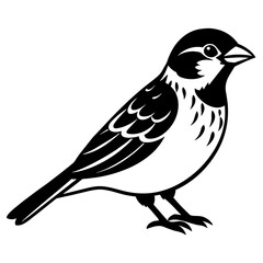 Sparrow bird vector icon silhouette illustration