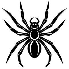 spider on white background