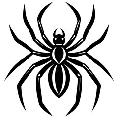 spider isolated on white