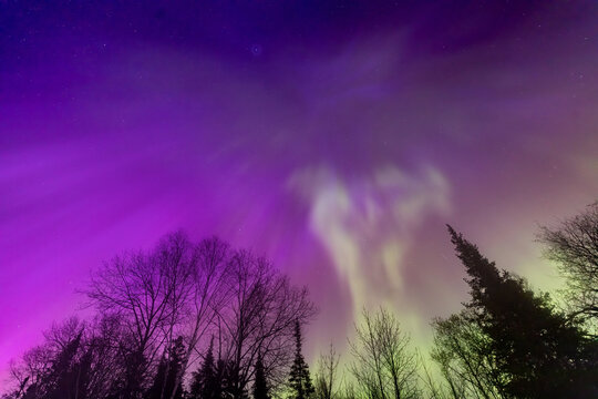 Northern lights erupt over a forest in Minnesota in a dark sky overhead shining rainbow of Aurora light