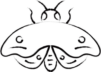 筆書きミニ昆虫イラストアイコン　蛾