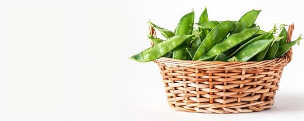 Closeup of fresh snow peas in a wicker basket, isolated on a white background with space for copy on the side