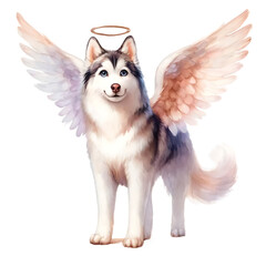 Dog Angel Wings Sublimation Clipart Png