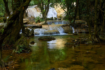 Scenic view of waterfall in forest	
