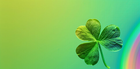 Clover plant is an Irish symbol of good luck for St. Patrick's Day