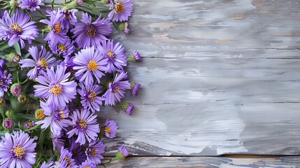 Fototapeta premium Vibrant Purple Asters on Rustic Wood Grain Textured Background in Watercolor Style