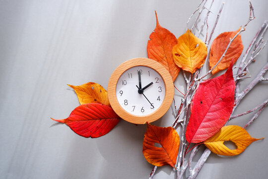 Daylight Saving Time concept background. 
Fall Back decoration colorful leaves and clock composition on gray background. 
