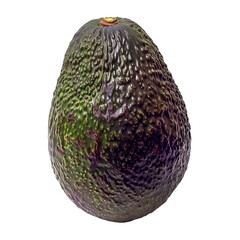 A dark, bumpy avocado isolated on a transparent background