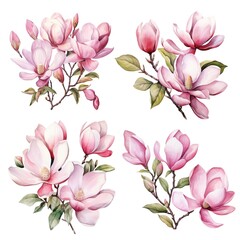 watercolor set of Magnolia flower, flower watercolor