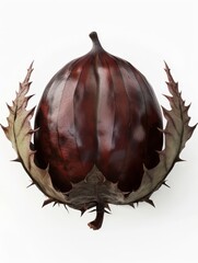 onion isolated on white