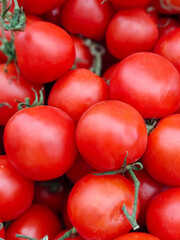 Organics tomatoes sold on local farmers market
