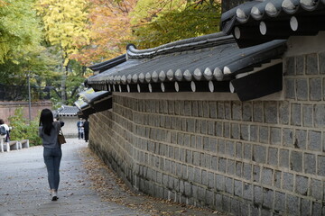 덕수궁 돌담길의 가을 풍경입니다