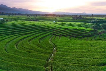 beautiful morning view from Indonesia of mountains and tropical forest