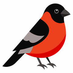Bullfinch bird vector art silhouette illustration