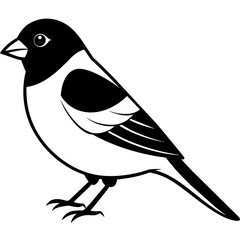 illustration of a bird bullfinch vector silhouette