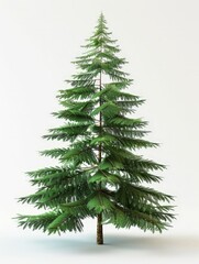 Fototapeta premium christmas tree isolated