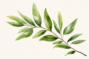 Green olive leaf flat design front view Mediterranean theme water color Tetradic color scheme