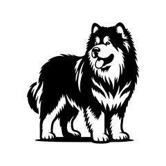 Fototapeta premium Vector Alaskan Malamute Silhouette - A Stunning Tribute to Canine Elegance and Strength- Alaskan Malamute Illustration- Minimalist Alaskan Malamute vector.